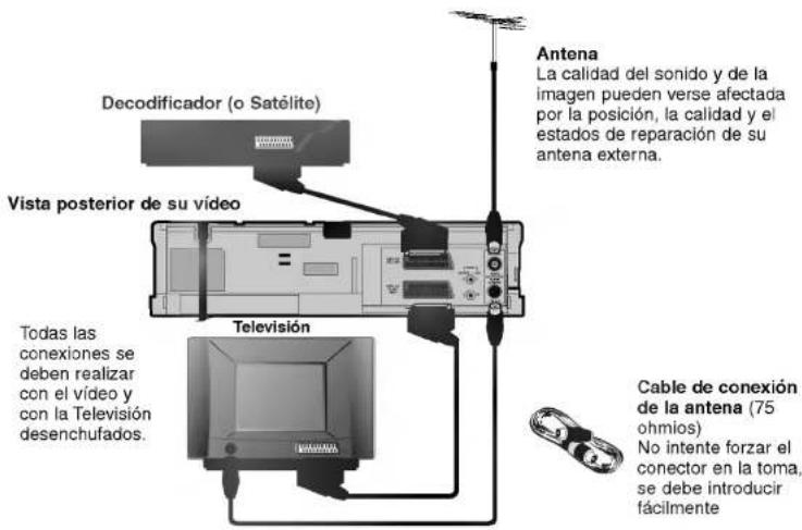 Decodificador (o Satélite) Vista posterior de su vídeo Antena La calidad del sonido y de la imagen pueden verse afectada por la posición, la calidad y el estados de reparación de su antena externa. Todas las conexiones se deben realizar con el vídeo y con la Televisión desenchufados. Televisión Cable de conexión de la antena (75 ohmios) No intente forzar el conector en la toma, se debe introducir fácilmente