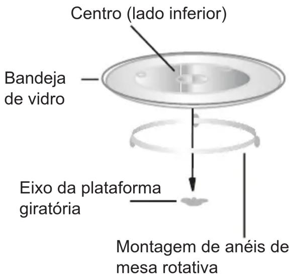 Centro (lado inferior) Bandeja de vidro Eixo da plataforma giratória Montagem de anéis de mesa rotativa
