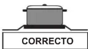 CORRECTO