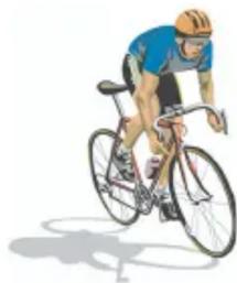 Honda NX4 Falcon (2006) - Bicicletas - 1