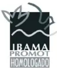 Honda NX4 Falcon (2006) - Informações sobre o Controle de Emissões - 1