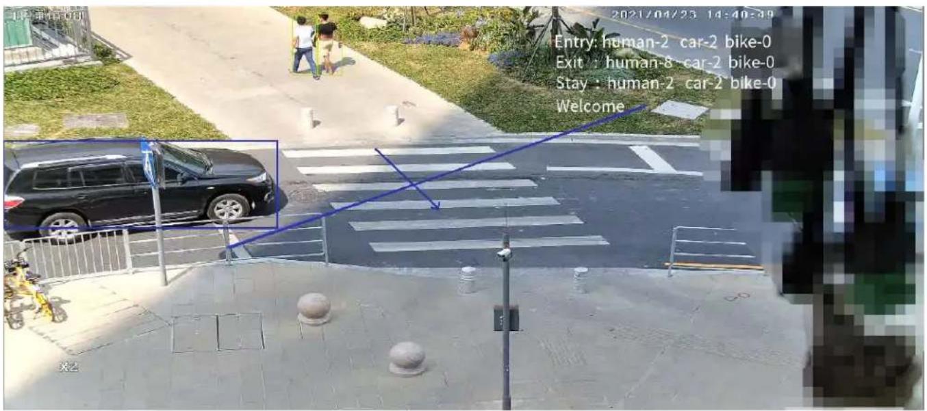 Entry: human-2 car-2 bike-0 Exit: human-8 car-2 bike-0 Stay: human-2 car-2 bike-0 Welcome