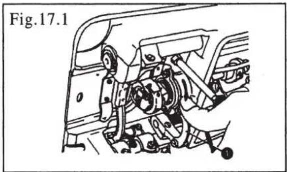 Fig.17.1