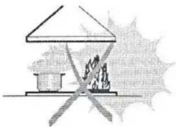Simple line drawing of a house with a chimney and fire extinguisher, no text or symbols present