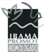 Honda Fireblade CBR1000RR (2022) - CONAMA/Instrução Normativa IBAMA - 1