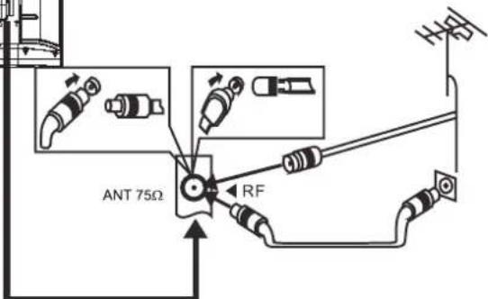 Infiniton INTV-43GA4100 - Antena - 2