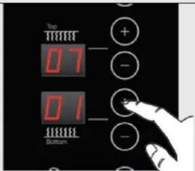 Top 07 - + - 01 - - Bottom