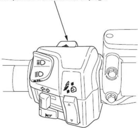 Honda Pan European ST1300 (2005) - INTERRUPTOR DEL SISTEMA DE AVISO DE PELIGRO - 1