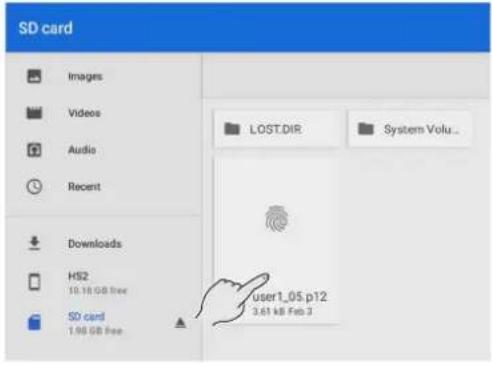SD card Images Videos Audio Recent Downloads HS2 10.18 GB free SD card 1.98 GB free LOST.DIR System Volu... user1.05.p12 3.61 kB Feb 3