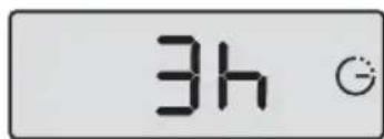 3h