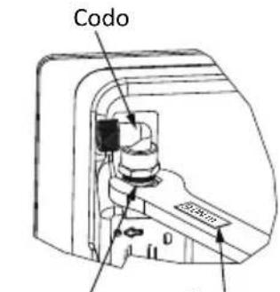Codo