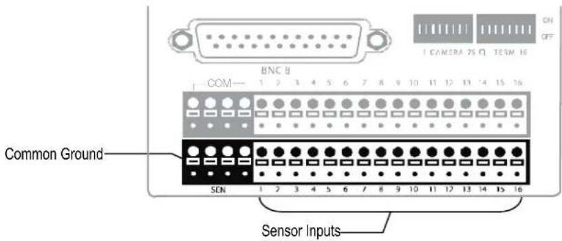 BNC B COM 1 2 3 4 5 6 7 8 9 10 11 12 13 14 15 16 Common Ground SEN 1 2 3 4 5 6 7 8 9 10 11 12 13 14 15 16 Sensor Inputs