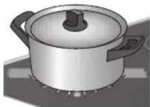 Pelgrim NF980ANTA - Optimal use of the hob - 2
