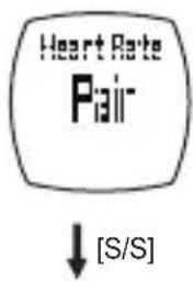 Heart Rate Pair [S/S]