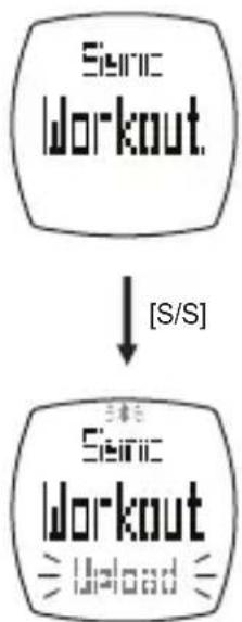 Semic Workout. [S/S] Semic Workout [Unload]