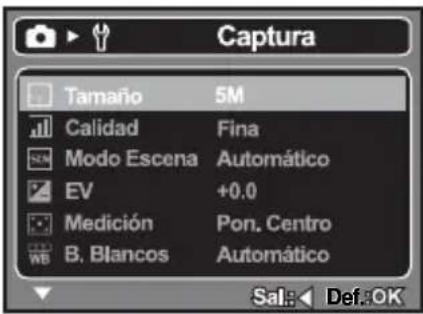 Captura Tamaño 5M Calidad Fina Modo Escena Automático EV +0.0 Medición Pon. Centro B. Blancos Automático Sal: Def:OK