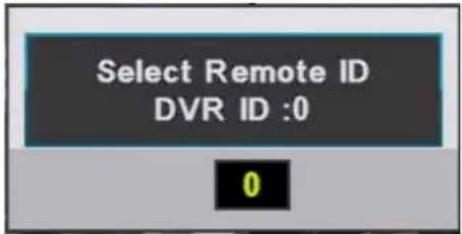 Select Remote ID DVR ID :0