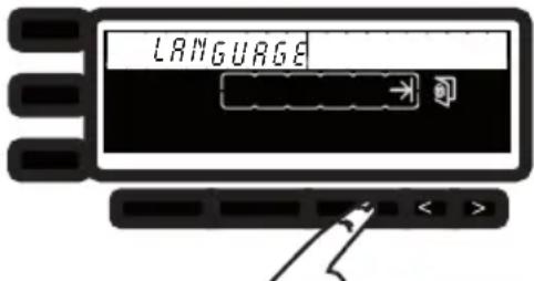LANGUAGE