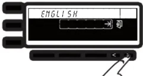 ENGLISH