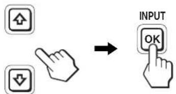 INPUT OK