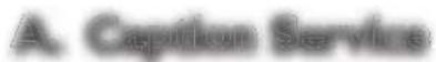 MAGNAVOX 19MF301B - Closed Caption - 2