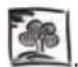 Freggia LC21 - SAFEGUARDING THE ENVIRONMENT - 1
