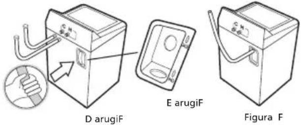 D arugiF E arugiF Figura F