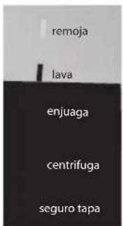 remoja lava enjuaga centrifuga seguro tapa