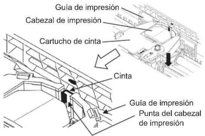 Guía de impresión Cabezal de impresión Cartucho de cinta Cinta Guía de impresión Punta del cabezal de impresión