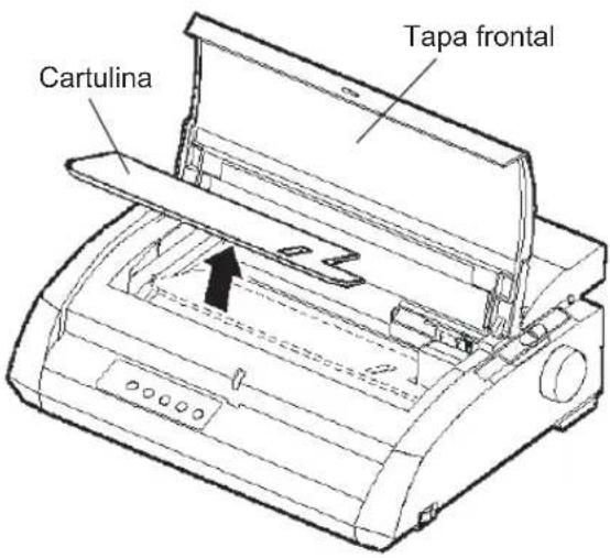 Cartulina Tapa frontal