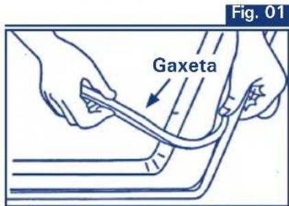 Gaxeta Fig. 01