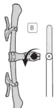 Tern Link D7i - 62