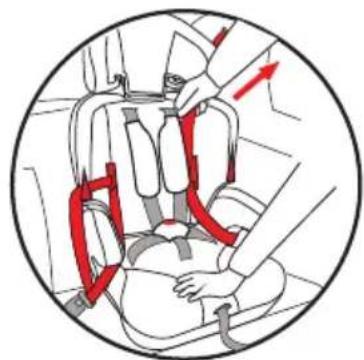 Burigotto Onboard 1.2.3 - PARA INSTALAR A CADEIRA NO AUTOMÓVEL - 5