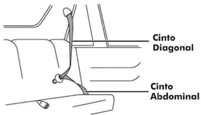 Cinto Diagonal Cinto Abdominal
