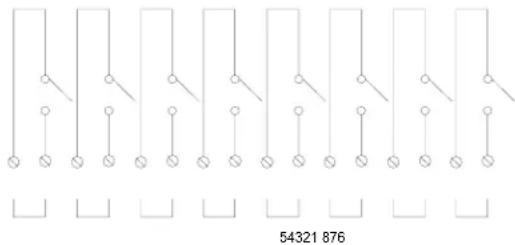 54321 876