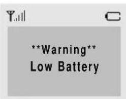 **Warning** Low Battery