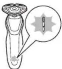 Illustration of a biological specimen with a magnified inset showing internal structures (no text or symbols)