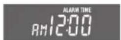 PANASONIC CQ-4330U - Initial Alarm Time - 1
