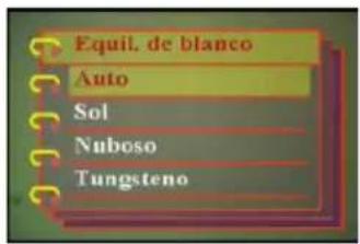 EASYPIX V12 - Configurar la impresión de fecha - 4
