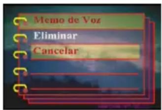 EASYPIX V12 - Borrar un memorando de voz - 2