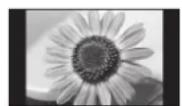 PANASONIC Viera TH-42PX80EA - Não exibir imagens fixas por muito tempo - 1