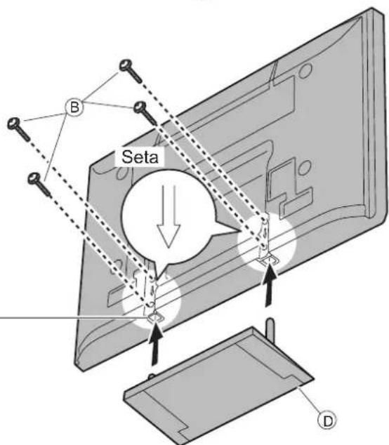 B Seta D
