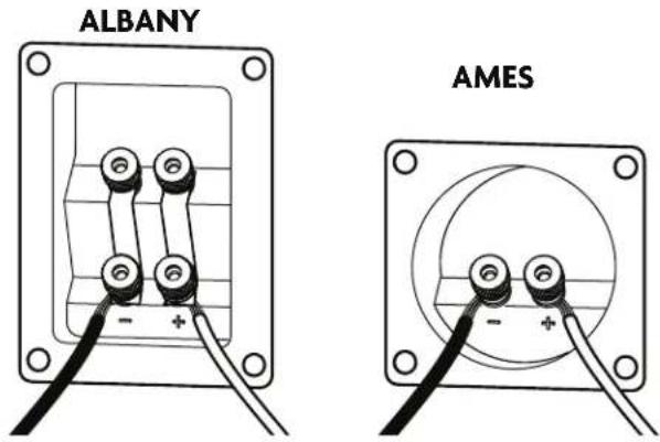 ALBANY AMES