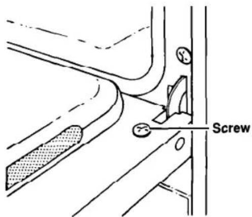 Screw