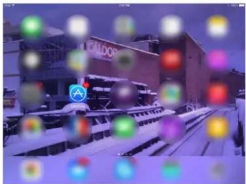 Street photo with visible store signboards and colorful circular overlays overlaying a snowy scene