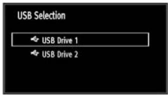 USB Selection USB Drive 1 USB Drive 2