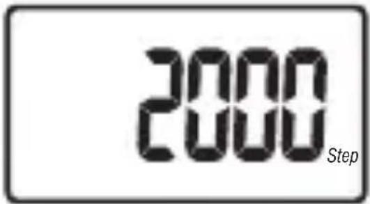 2000 Step