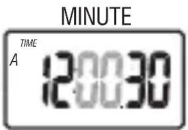 MINUTE A TIME 12:00:30
