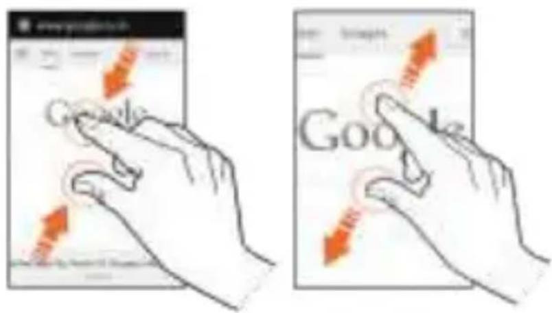 www.veptation.com Google Google