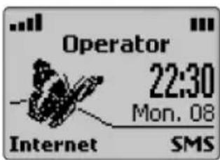Operator 22:30 Mon. 08 Internet SMS